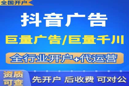 百度竞价广告的投放策略与成功案例分析