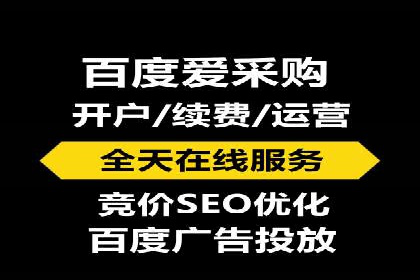 案例分析：百度推广成功案例解析
